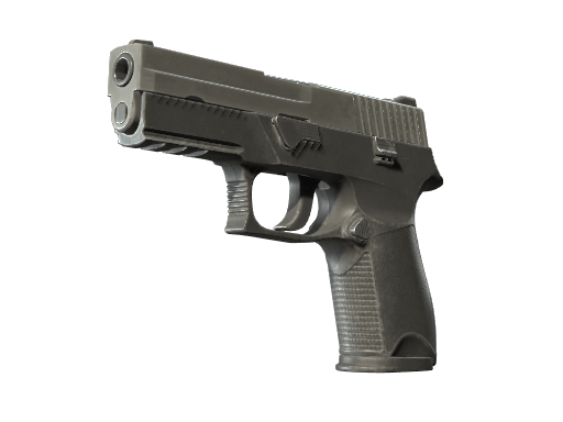 P250 CS2 weapon